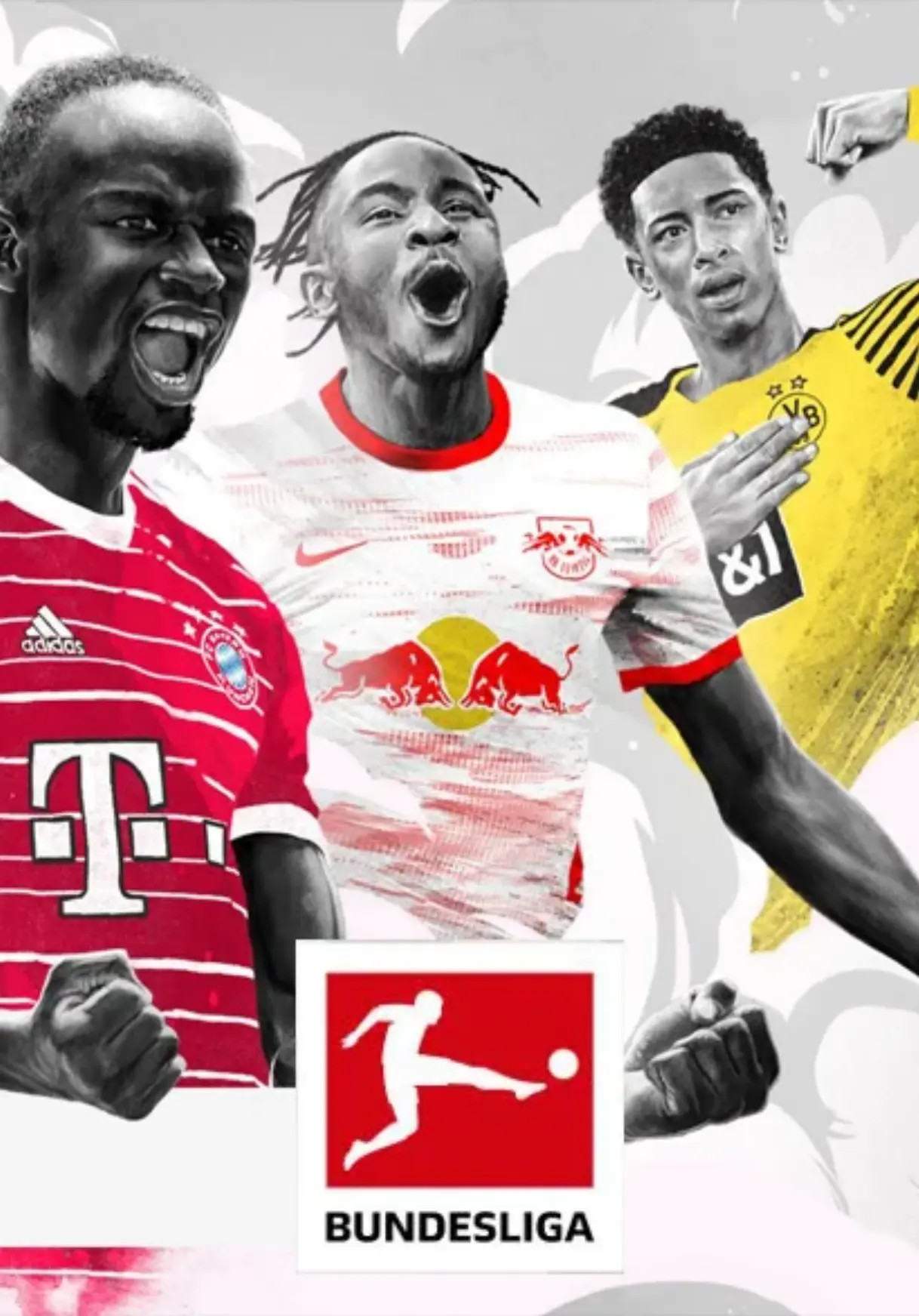 Sport 6